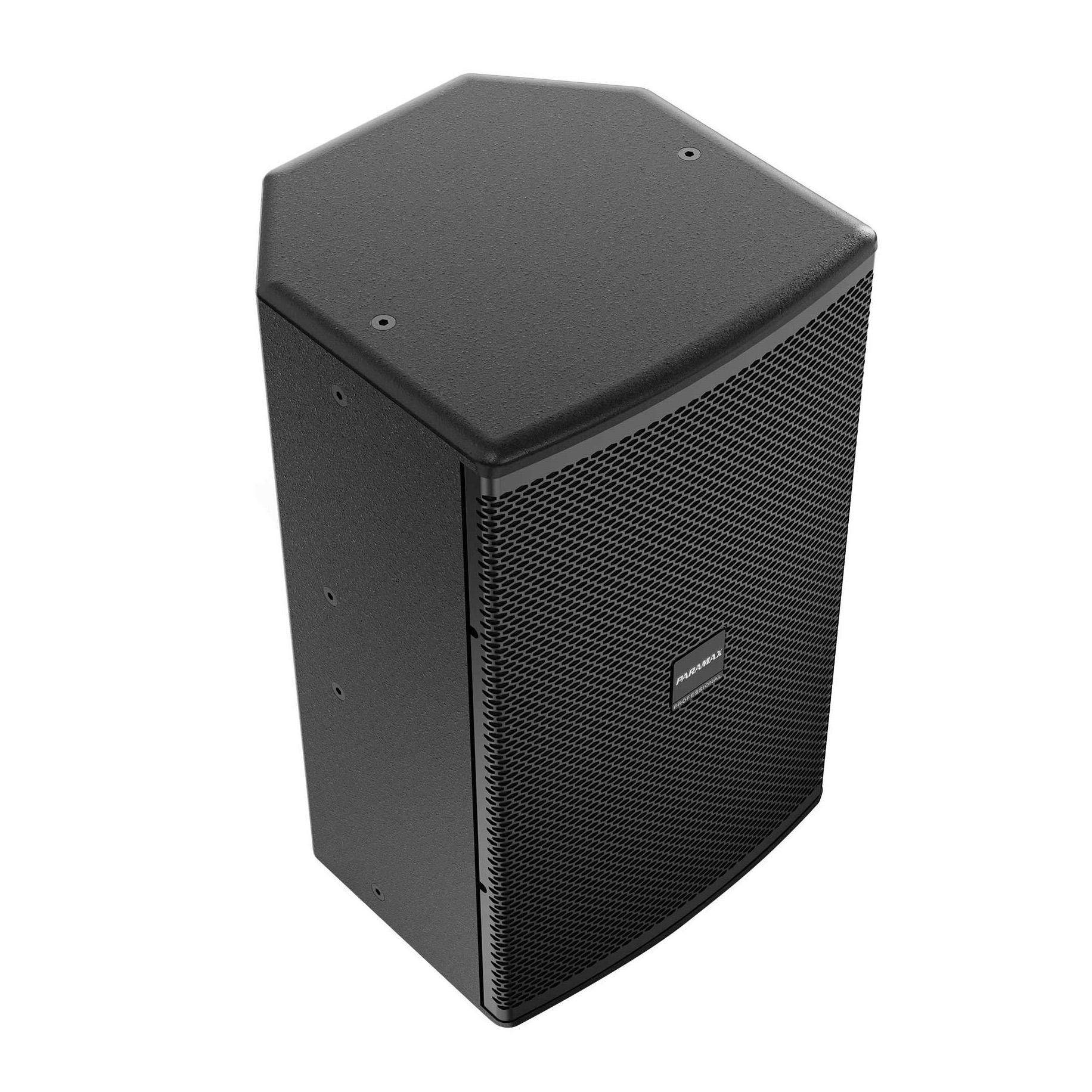 Loa full Paramax Pro V30