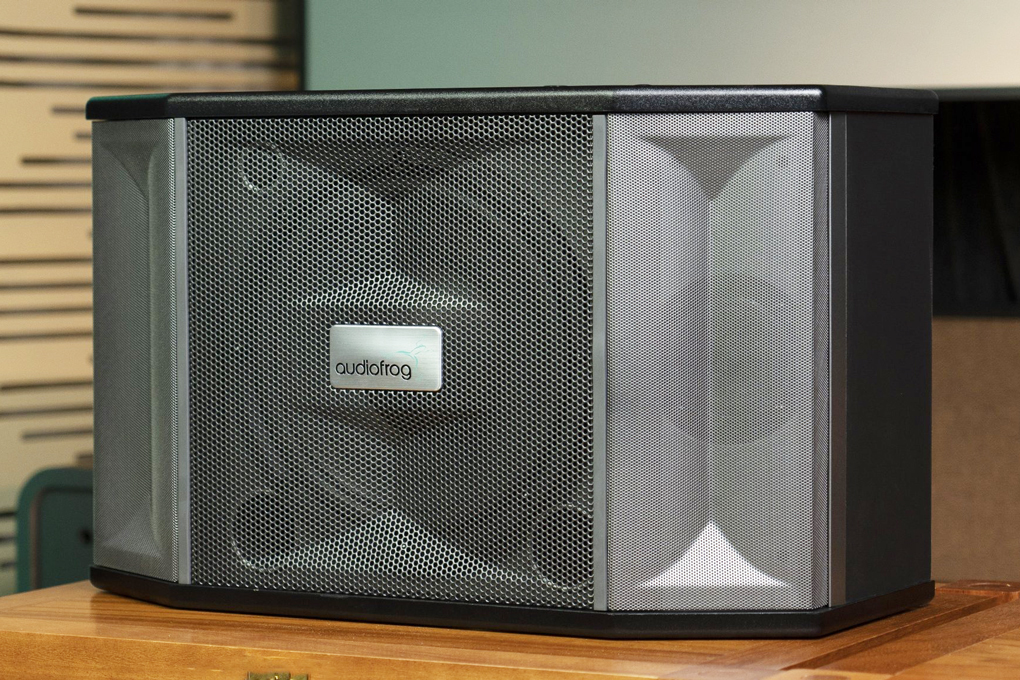 Loa karaoke AUDIOFROG M10F, công suất 400W