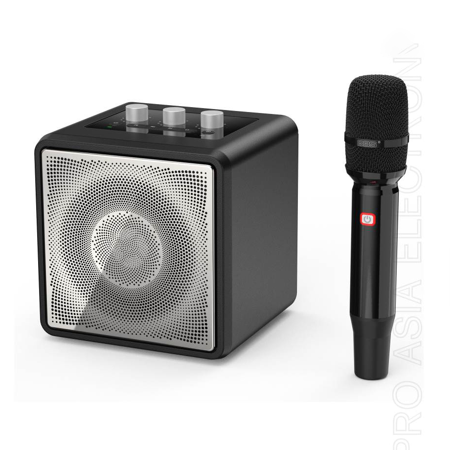 Loa xách tay Mini Karaoke BBS P4, Bass 4in
