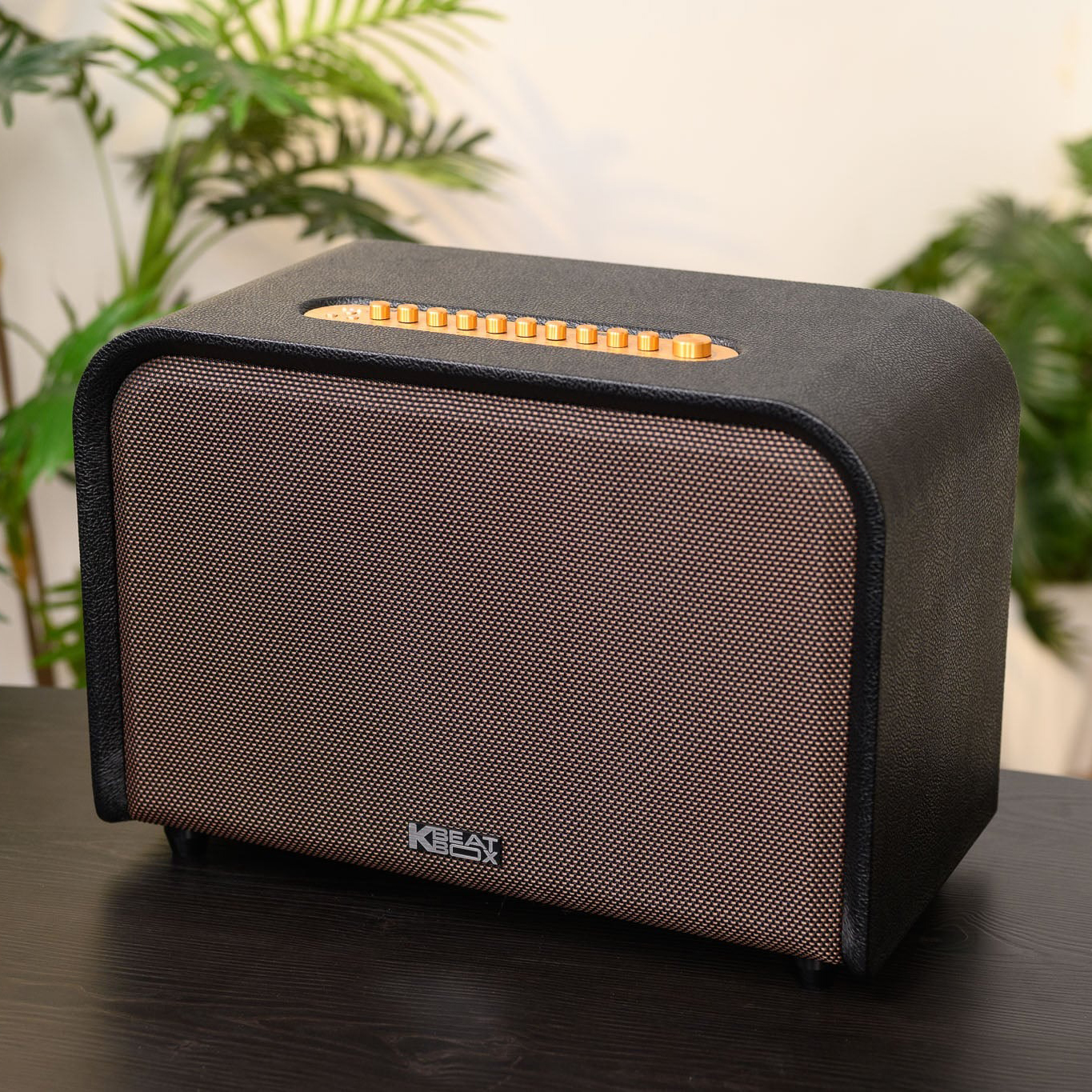 Loa Karaoke ACNOS 220W ACOUSTIC 3