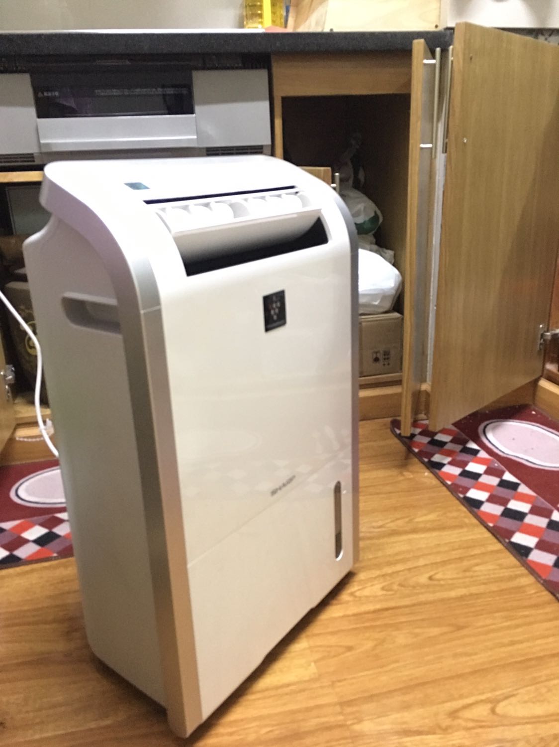 Máy hút ẩm Sharp DW-D20A-W tạo ion | 20L 1 ngày