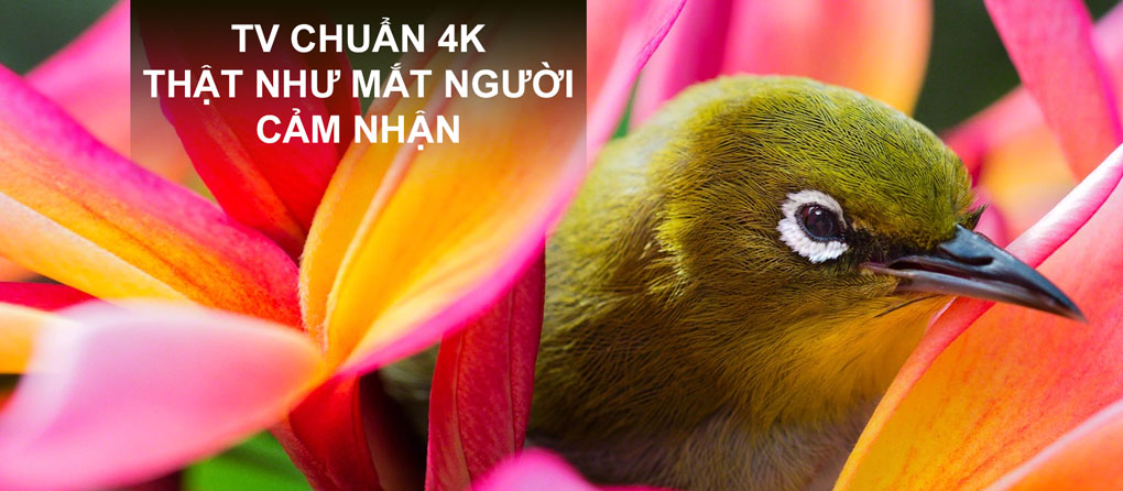 Độ ph&acirc;n giải 4k