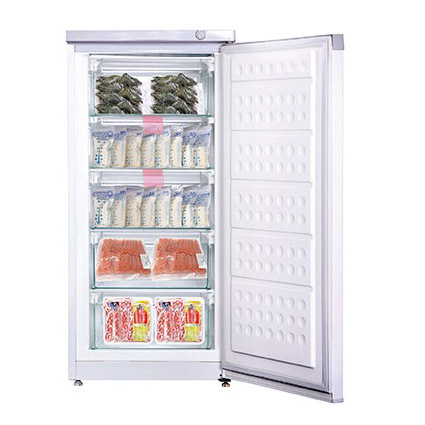 Tủ đông Hòa Phát dạng đứng HUF-350SR1