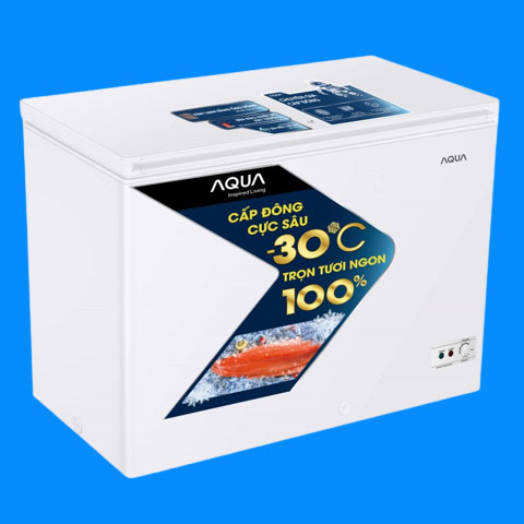 Tủ bảo quản Aqua 1 ngăn đông 301L AQF-C4001S