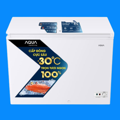 Tủ bảo quản Aqua 1 ngăn đông 301L AQF-C4001S