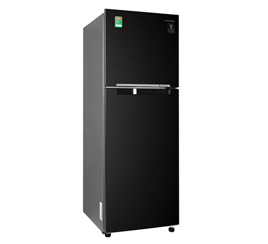 Tủ lạnh Samsung inverter 256 lít RT25M4032BU/SV