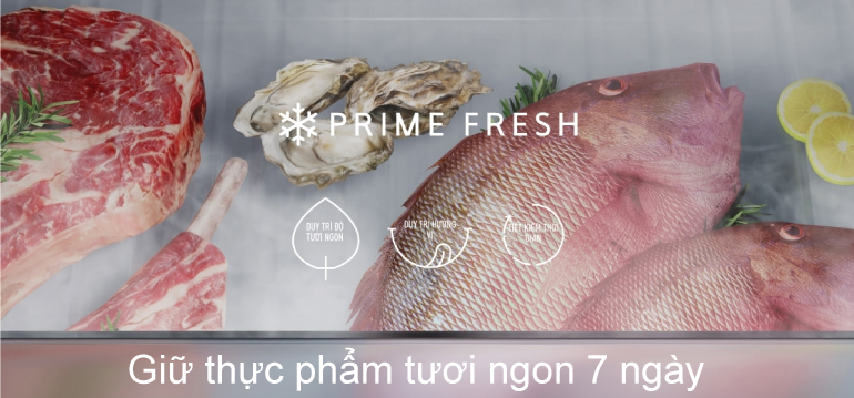 cấp đông mềm Prime Fresh