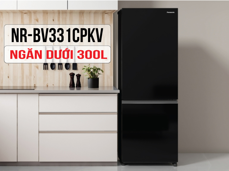 NR-BV331CPKV